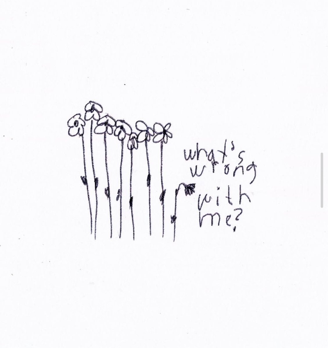 ⊹. ݁₊ ⊹ . ݁˖ . ݁𖤐 tweet media