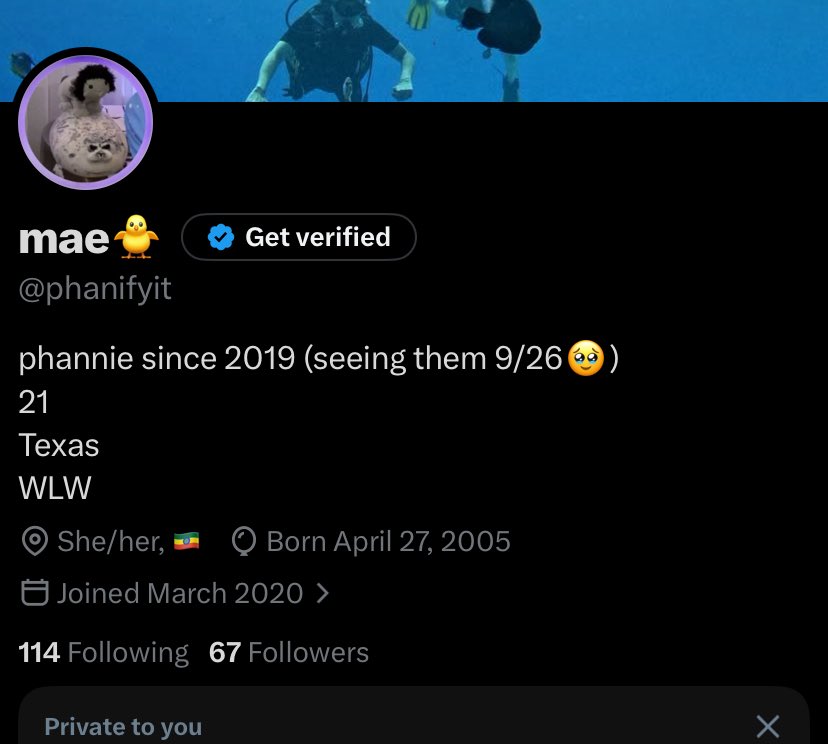 mae🐥 tweet media