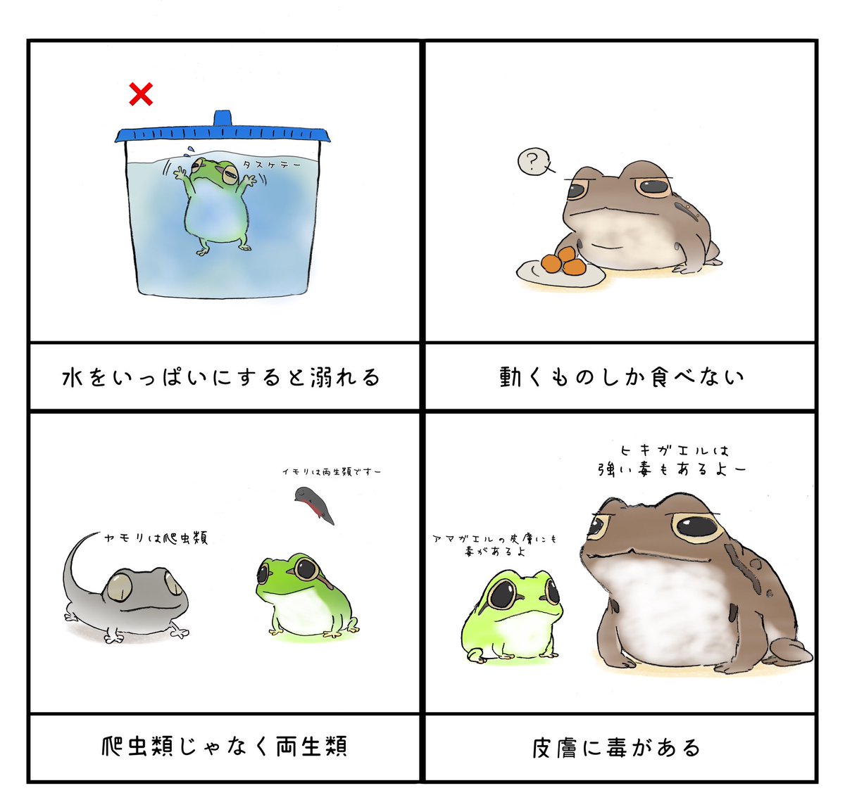 PIYO_KAERU's tweet photo. 意外と知らないカエルの豆知識2 https://t.co/f0aS6U3csr