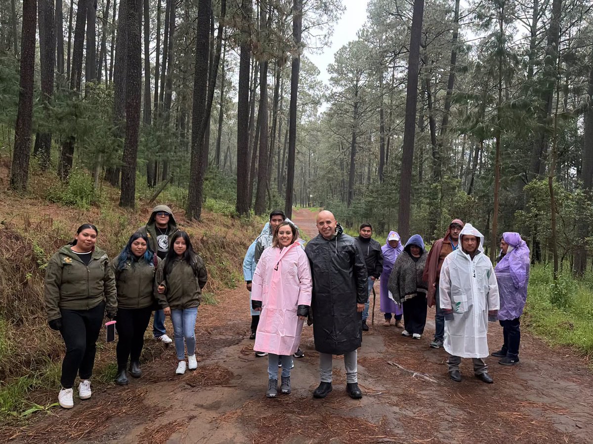 valkiriaonline's tweet photo. ✨🌿 La presidenta municipal del H. Ayuntamiento de #Tlahuapan, Rosy Díaz, recorrió el Santuario de Luciérnagas Ejido Santa Rita Tlahuapan, uno de los principales puntos de avistamiento del municipio, donde destacó la riqueza natural y el potencial turístico de este espacio.
Durante la visita, reconoció la labor de las y los jóvenes que fungen como guías del recorrido, quienes brindan información a los visitantes para hacer de esta experiencia una actividad segura y enriquecedora. Asimismo, invitó a las familias y turistas a visitar Tlahuapan y disfrutar del espectáculo natural que ofrecen las luciérnagas en esta temporada. 🪲💚
@laura_roldn; @Rosiceli51
#ValkiriaOnLine®