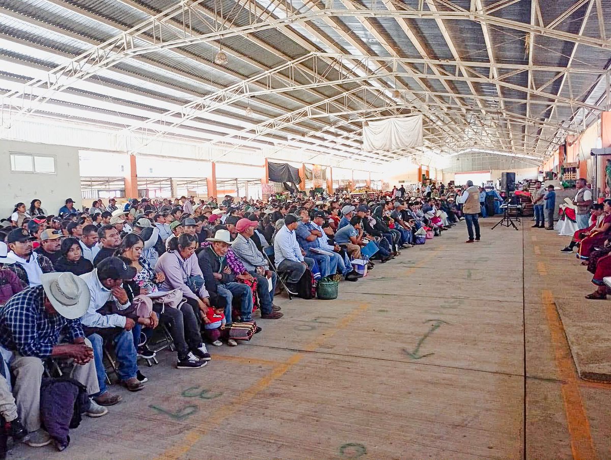 BienestarMxOax's tweet photo. Comunidades del #FAISPIAM del Valle de Tlacolula, así como de la Mixteca recibieron sus tarjetas bancarias.
Continuamos trabajando para que pueblos y comunidades indígenas tengan recursos directos para ser utilizados en obras públicas. https://t.co/4RYCeKtXZM