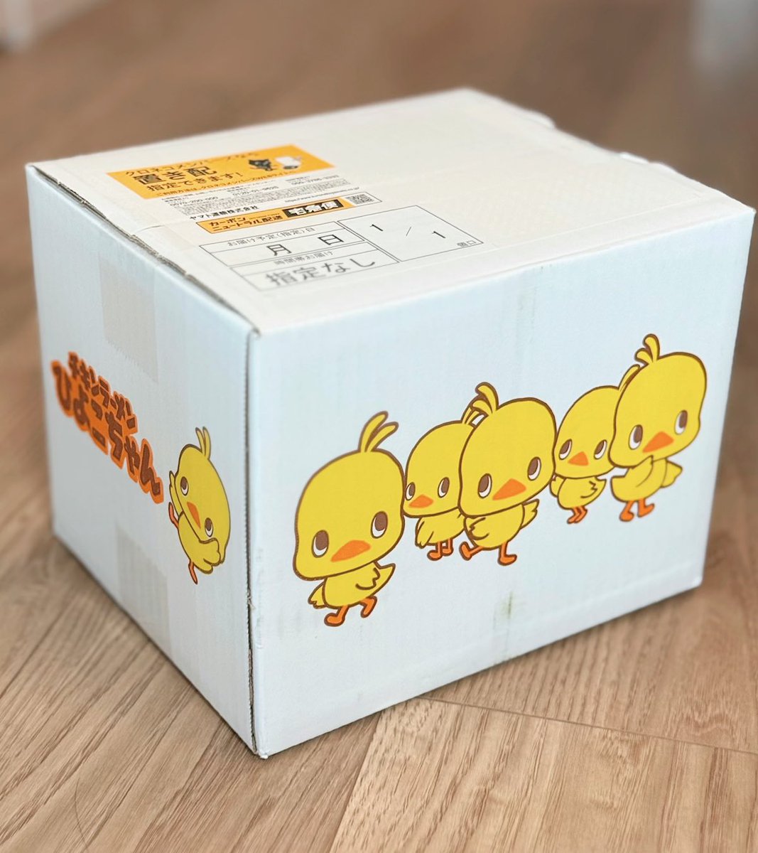 かわいい箱が届いた！🐥 日清食品の株主優待、ひよこちゃんのストック
