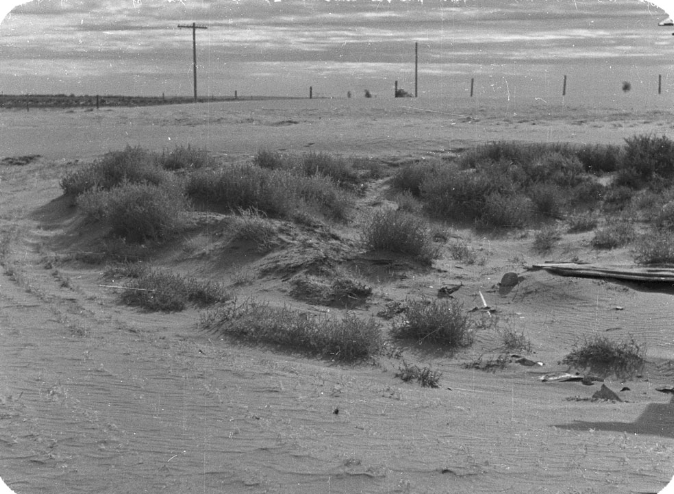 TheReclamare's tweet photo. Saskatchewan Dry Belt 1934

There's a reason Canada omits the climate record before 1950 https://t.co/3RWTlpduGp