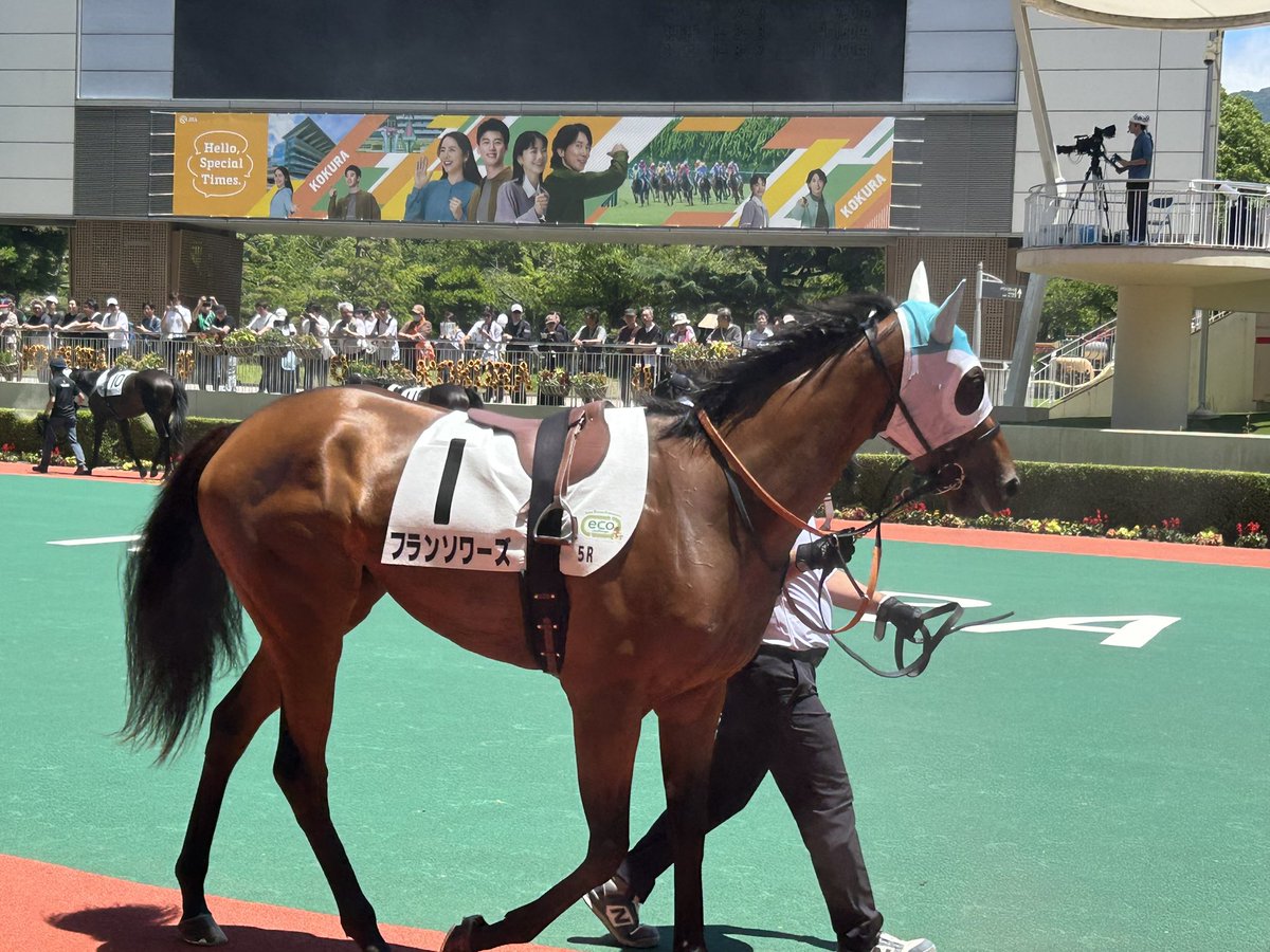 takuto_rankoP's tweet photo. 今日の新馬戦で単勝1.8倍の人気馬フランソワーズ
正直、新馬戦でこんなに人気する？
と思わなくもないがよさそうではある
 #小倉競馬  #小倉5R  #フランソワーズ https://t.co/owlY8E3vEy