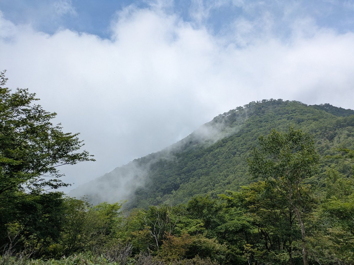 uranic0's tweet photo. 赤城山駒ヶ岳山頂！「長命堂」飴もなか美味しい(*´-`)ｱﾏｰｲ https://t.co/7hqXPC2A5l