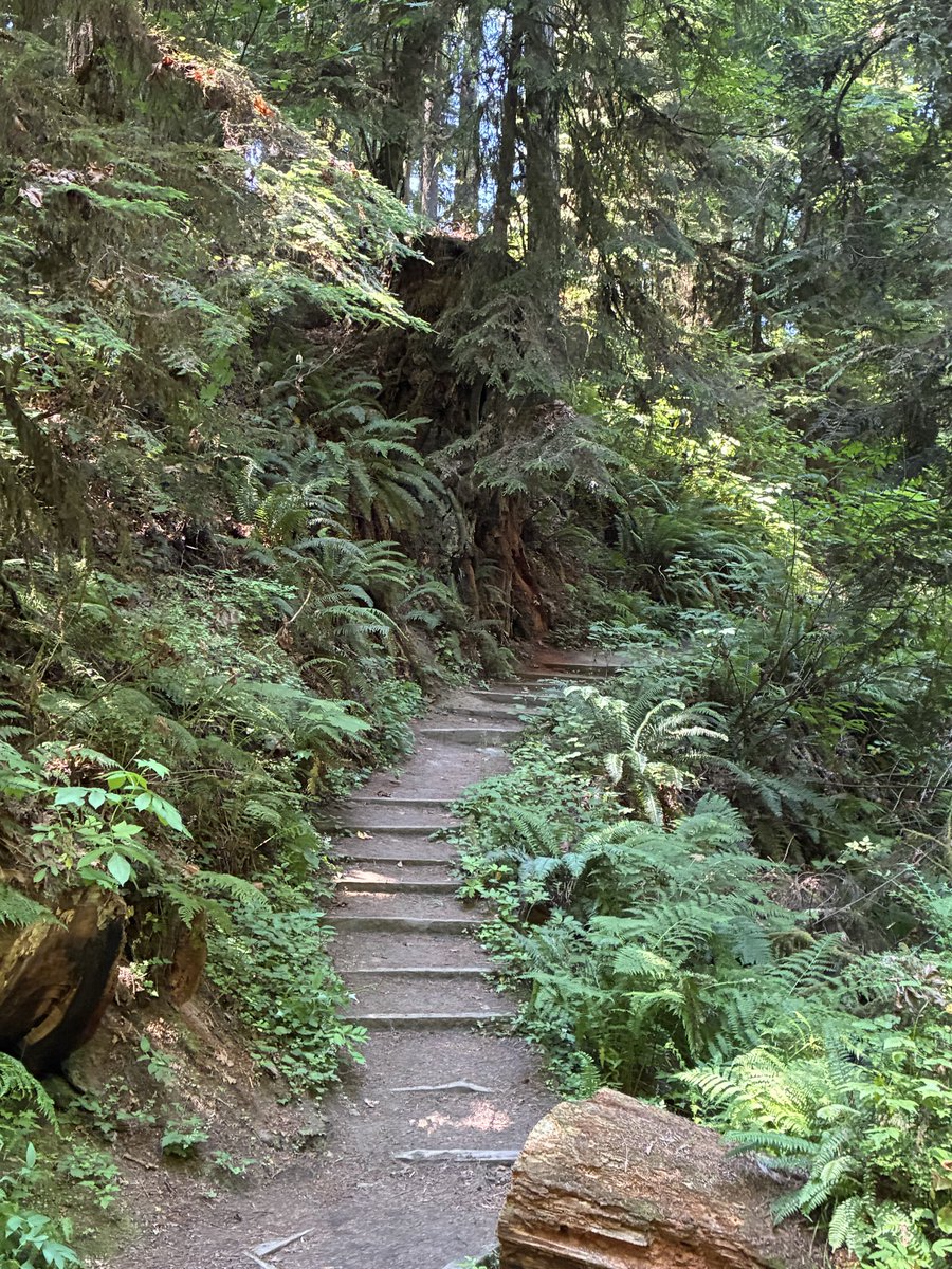 traciskindle's tweet photo. Just spent vacation time in the Pacific Northwest. Our country is so beautiful! https://t.co/1b69sP3ean