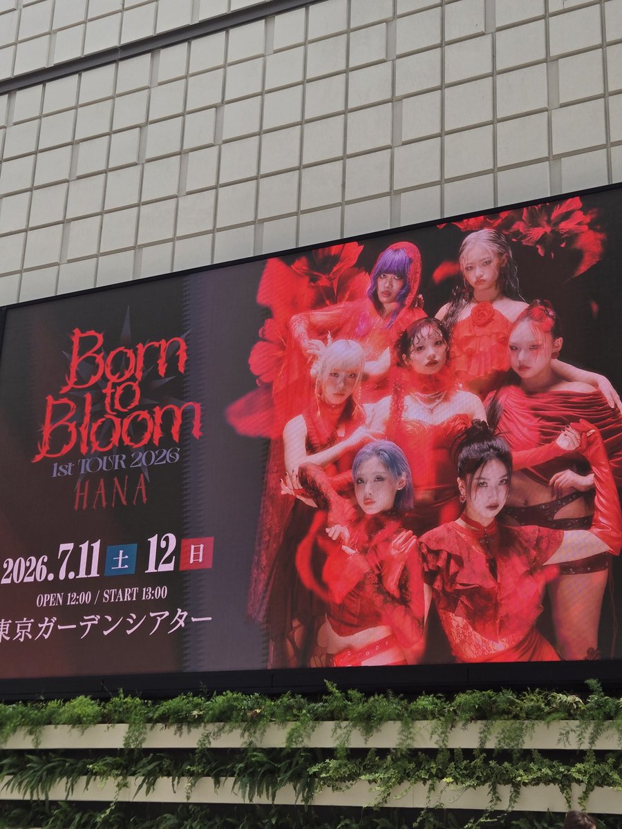 aya18321's tweet photo. 今日はココ❣️

まさかの旦那が先にHONEYs入ってて、当ててくれた🤩

楽しんできまーす🎶

#BorntoBloom https://t.co/uep5fENOZS