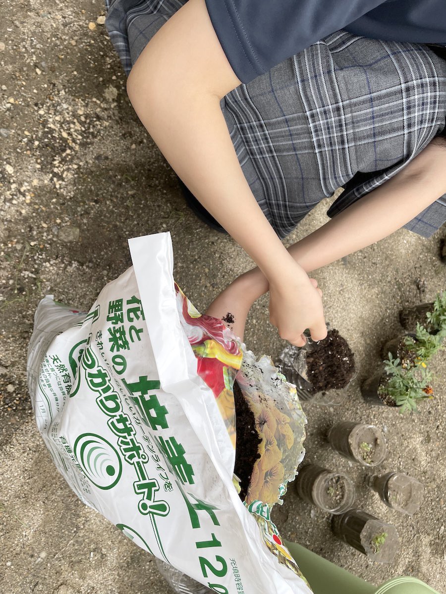 eifuhighschool's tweet photo. 園芸プロジェクトのその後の様子です。大阪商工信用金庫様よりいただいたチンゲンサイの種をまきました。また、いただいたメロンの苗にも花が咲きました。台風の影響もありましたが、どの苗も順調に成長しています🌱

#通信制高校 #大阪通信制高校 #女子だけの通信制高校 #園芸 #英風高等学校 https://t.co/UqXpCR4SD4