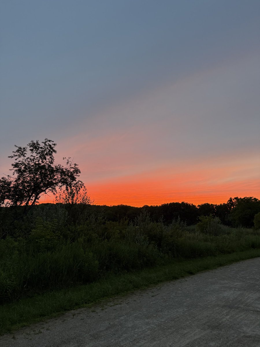 vanillabloomm's tweet photo. Sunset walk tonight included beautiful skies and hundreds of fireflies 🔆 https://t.co/16J8o9abpd
