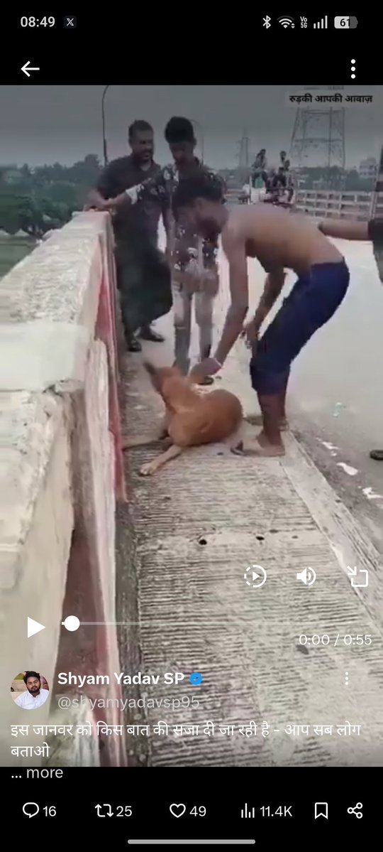 rahulshri21's tweet photo. @shyamyadavsp95 They must be punished 😡😡 for this cruelty https://t.co/W3HVFSm7qS