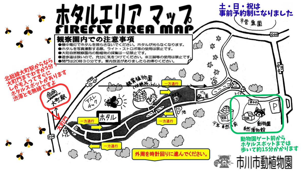 市川市動植物園(公式) tweet media
