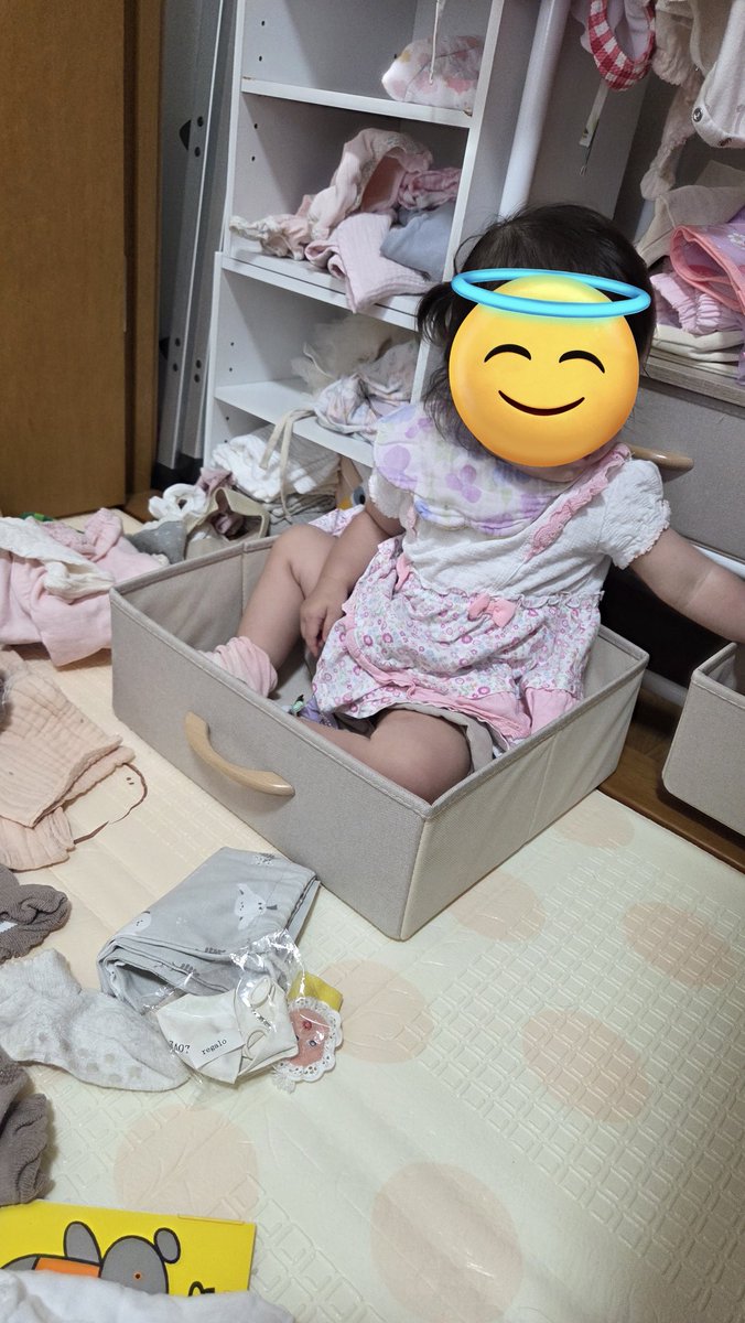 ramune428's tweet photo. 片付けたら全部出されるし、なんか入ってるし https://t.co/8dO2yyrkPo