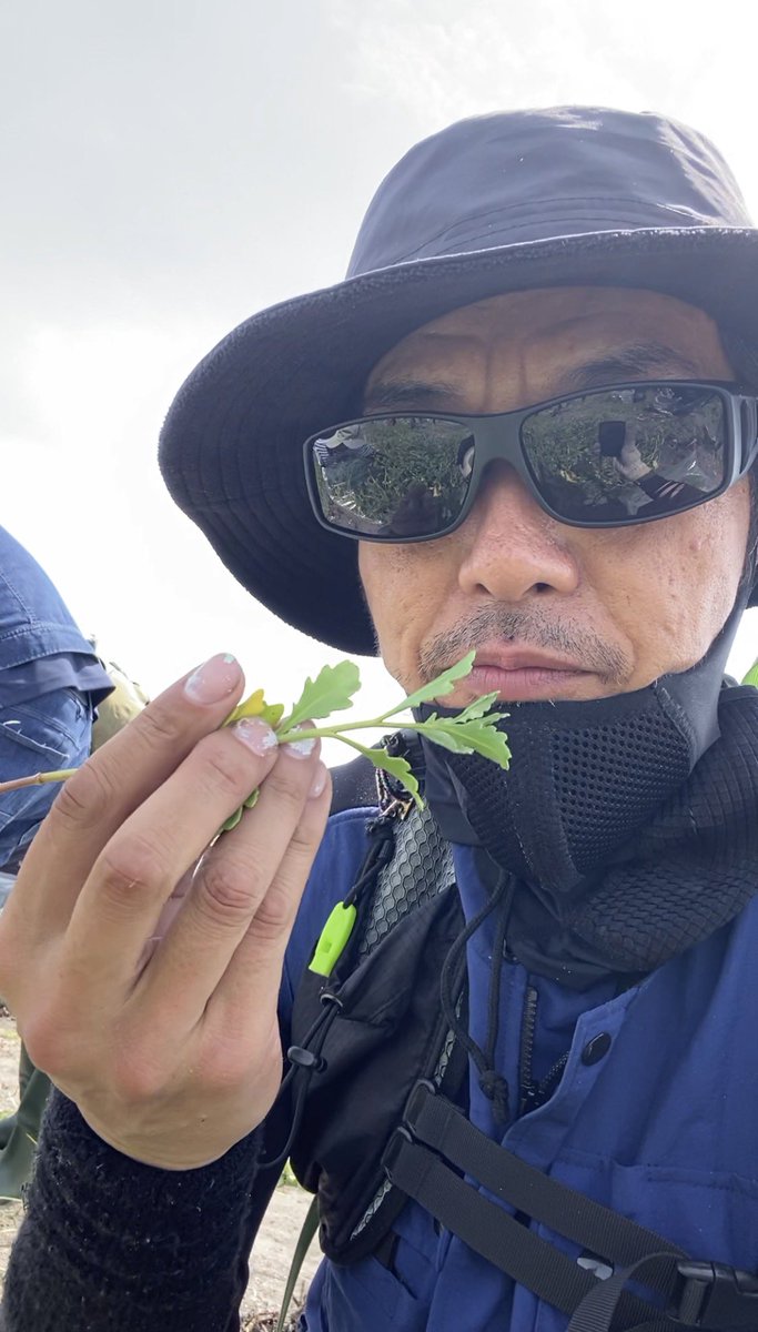 APstudioG369's tweet photo. 春国岱で
ウラギク保護完了✅
オニハマダイコン駆逐完了✅
15時からニホロで
北方領土まで歩こう会の受付へℹ️
其れ迄休憩とス☕️ https://t.co/eBC8f5Dw5Z