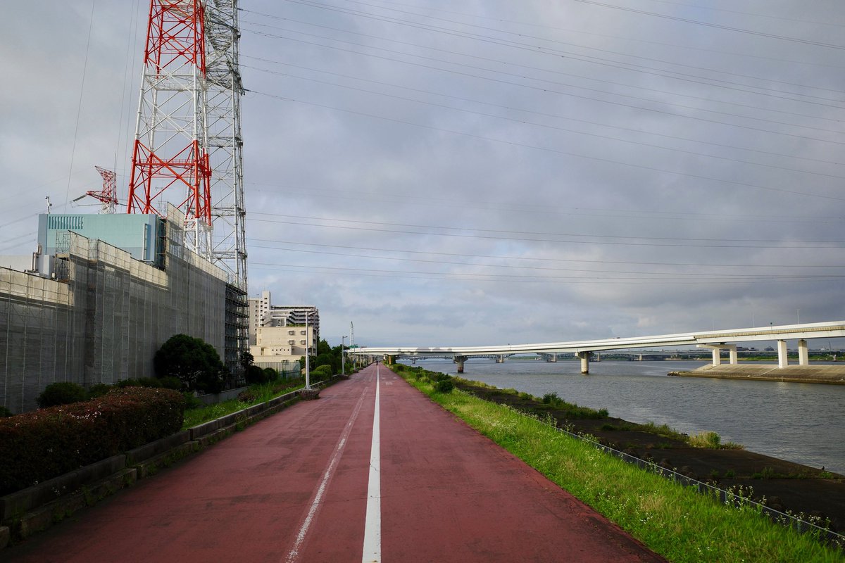 una_coool's tweet photo. 久しぶりの葛西臨海公園
狸がいるんですな https://t.co/1i2FXa2MN0