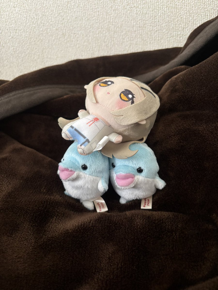 ぬいはら tweet media