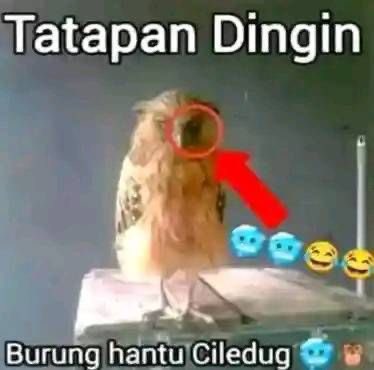Martin. tweet media