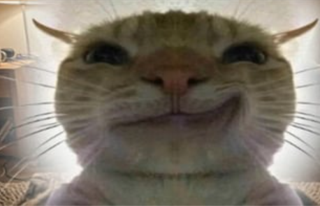 SMIRKCATOG's tweet photo. You're sidelined on $cashcat

buy $smirk cat

CA: 8cmZDwtrZW58JzhTKaP7pH2zLLKWpTE4bzukMqTEpump https://t.co/TM1TGDF2fy