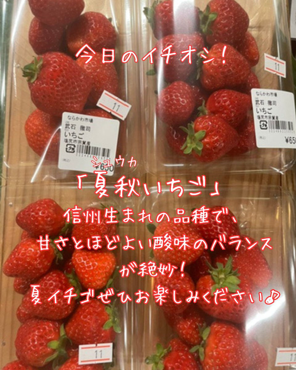 kisonarakawa's tweet photo. 🌿🍓今日のならかわ🍓🌿

本日も「ならかわ市場」に、新鮮な夏の味覚がたくさん入荷しました✨季節の味覚は、その時だけのお楽しみ。

お買い物のあとは、木曽くらしの工芸館で木曽漆器や木工品を見たり、ソフトクリームでひと休みするのもおすすめです🍦

ご来館お待ちしています✨ https://t.co/J3I9aHqTT1