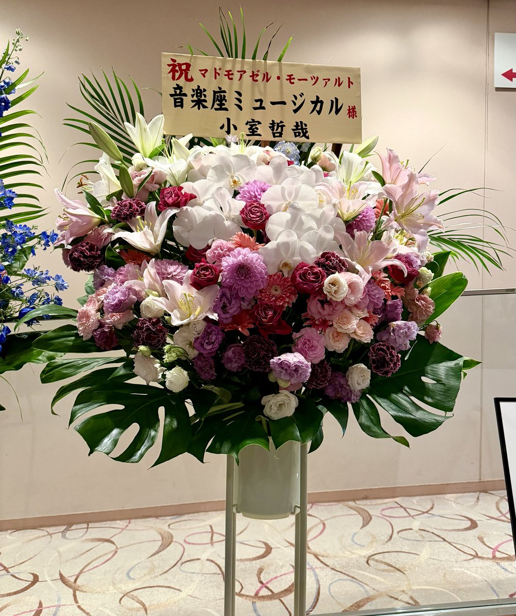 桜✾お花見くまたん 先生からのお花みーっけ👀 きれいだ✨✨