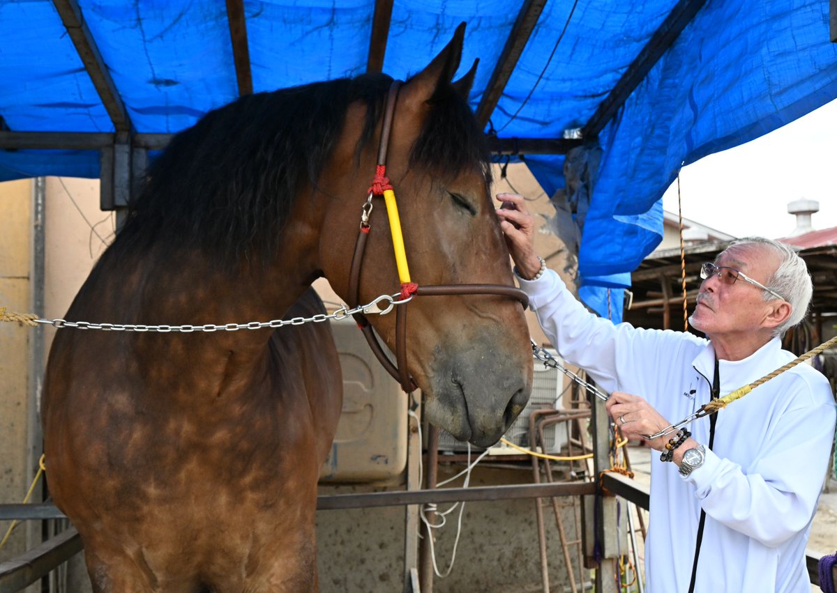 DoshinOBO's tweet photo. 12日は「第57回旭川記念」。帯広のほか、かつて競馬が開催されていた旭川、岩見沢、北見の名を冠した「4市記念競走」のトップを飾ります。騎手時代5勝を挙げ、今年トワイチロを出走させる金山明彦調教師に旭川の思い出を聞きました。
https://t.co/Y01I0j9nJP
#サタデーBANBA
撮影前のトワイチロ✨ https://t.co/Su9j6vFDLg