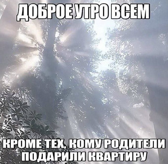 FoxTeninz's tweet photo. https://t.co/DPwM0fNJZU