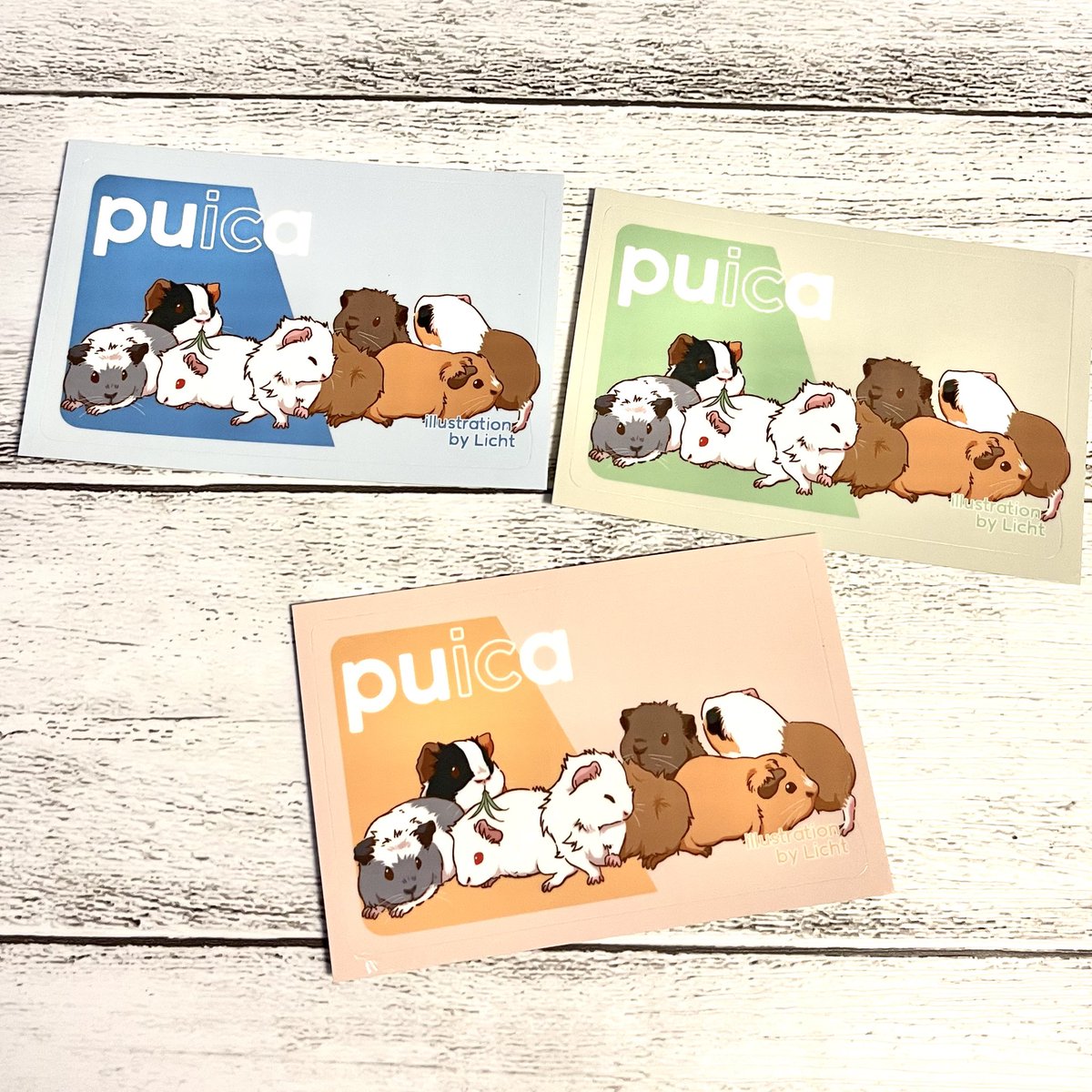Chocoholiday10's tweet photo. ICカードステッカーに新デザインが出ました！
横並びのモルモット三種類です🐹 https://t.co/ZrLWOM8iod
