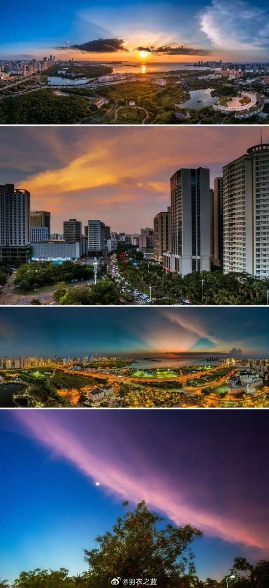 조자경 tweet media