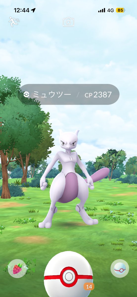 _yk712_'s tweet photo. やっと背景💯きた😭

色違い全然出ない問題 https://t.co/jVKal2XD8S