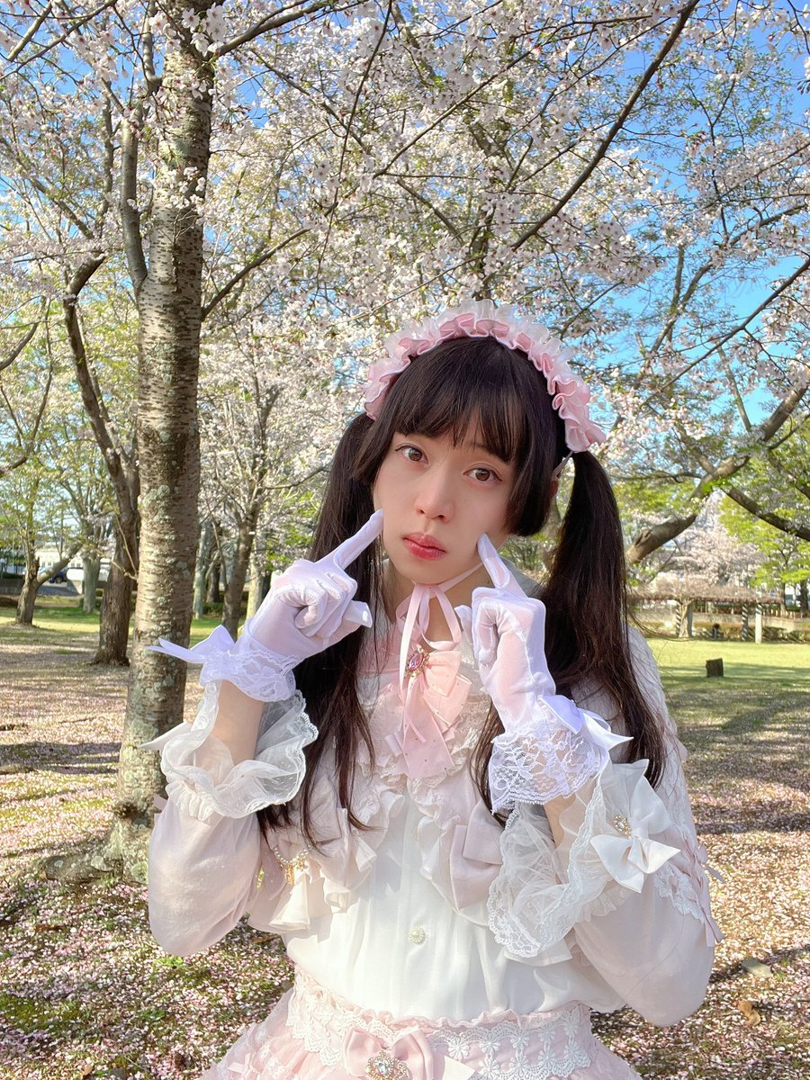 maple_1stLP's tweet photo. 大学の近くでお花見したときの！🌸 https://t.co/6cxnxkPWZQ