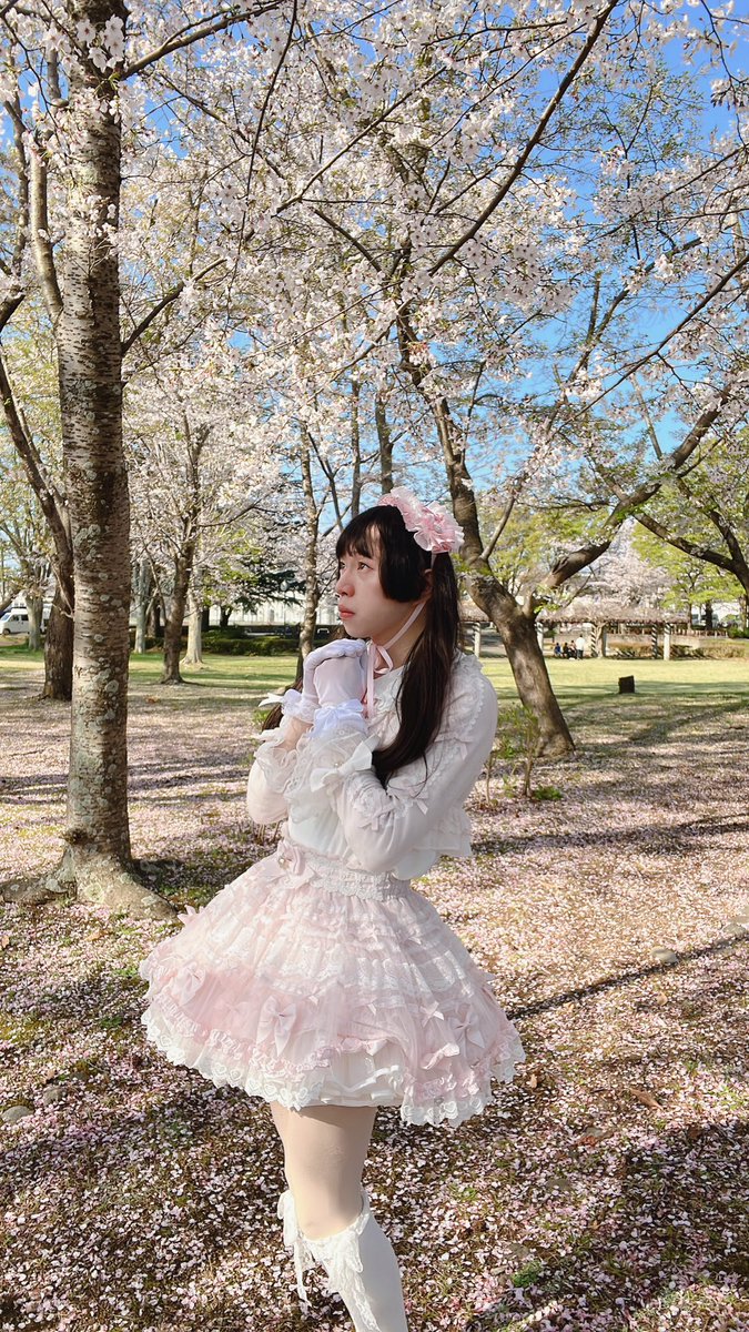 maple_1stLP's tweet photo. 大学の近くでお花見したときの！🌸 https://t.co/6cxnxkPWZQ