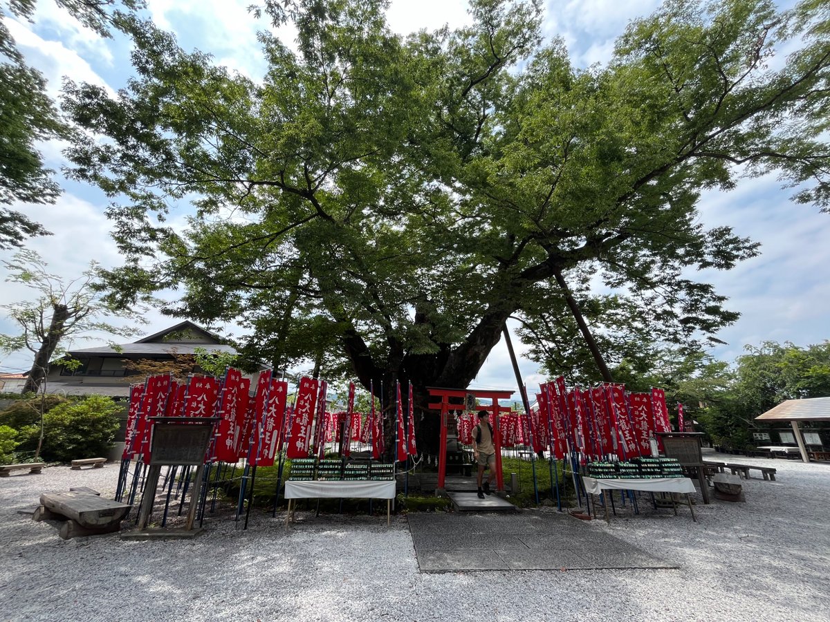 西原ウミ tweet media