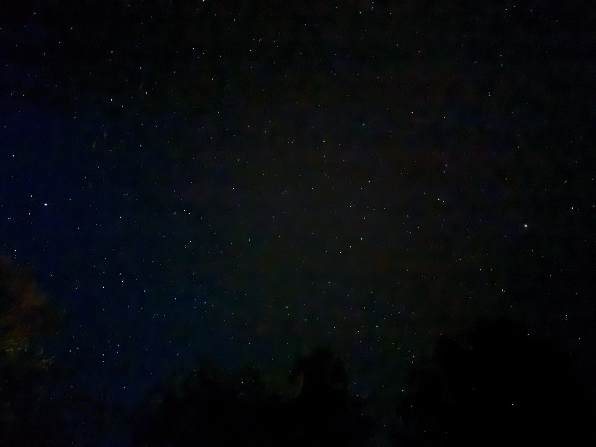 kybonesx's tweet photo. never in my life have i seen this many stars in the sky. and WTF are those little lights that spontaneously move all over the place?? satellites? UFOs?

my friend said bats with flashlights.. 🤔 maybe https://t.co/0CN7pSmVbs