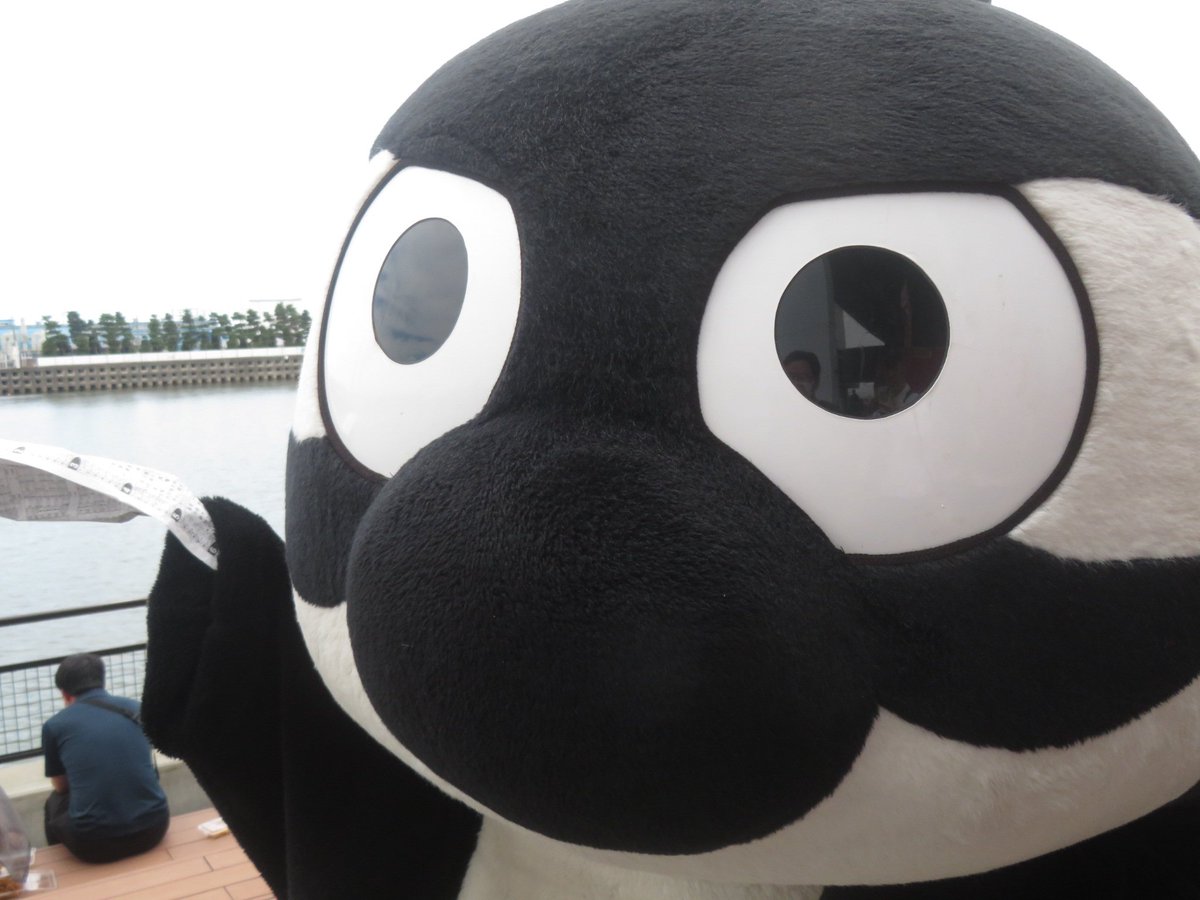 fukagasista's tweet photo. 出走表を握りしめている廃鯱なグランパスくん https://t.co/kjI8f4giEv