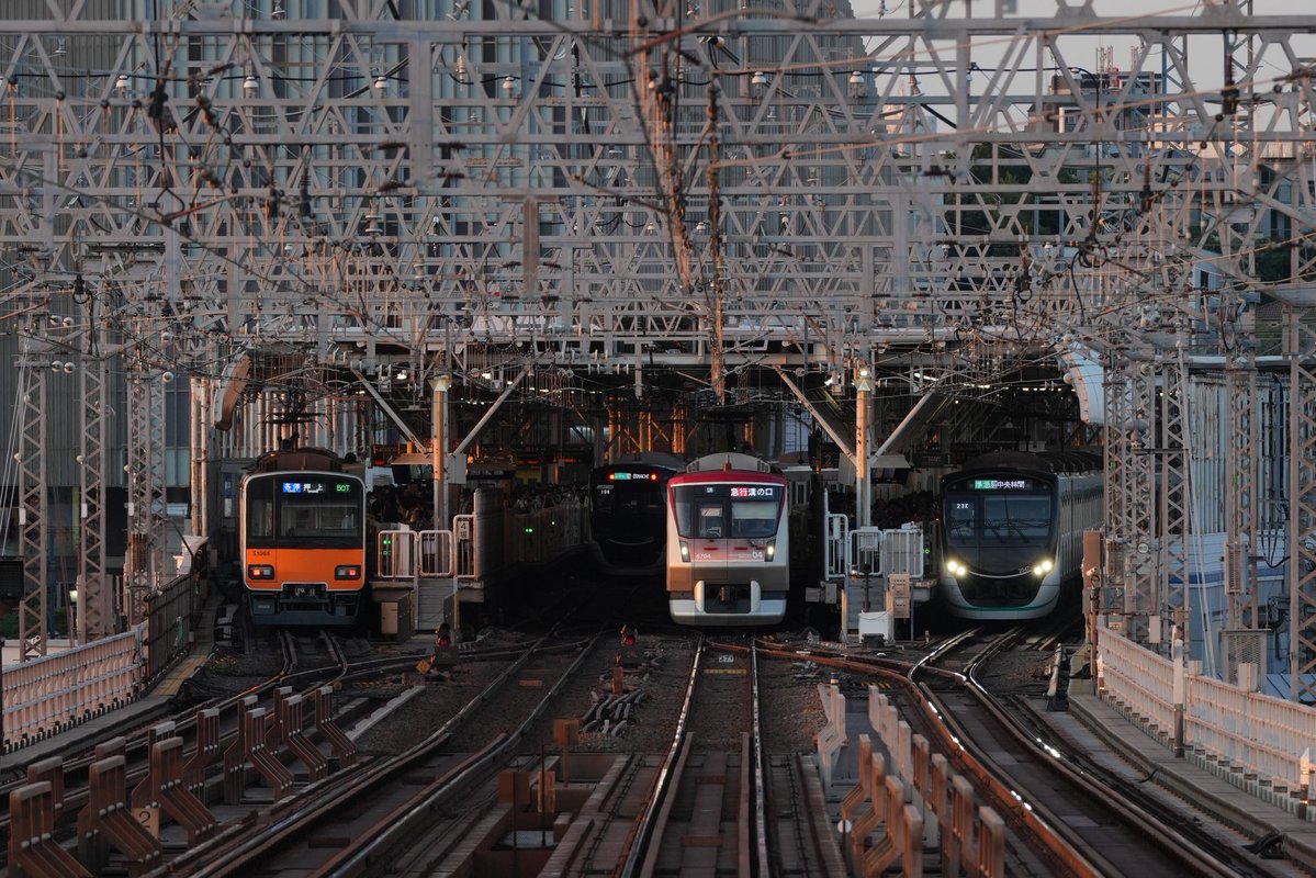 TaJun001007's tweet photo. 新しいカメラで撮影してみました！

高画素機凄いですね  撮影した写真引き延ばしてもこの綺麗さ https://t.co/8SMyNgNsyO