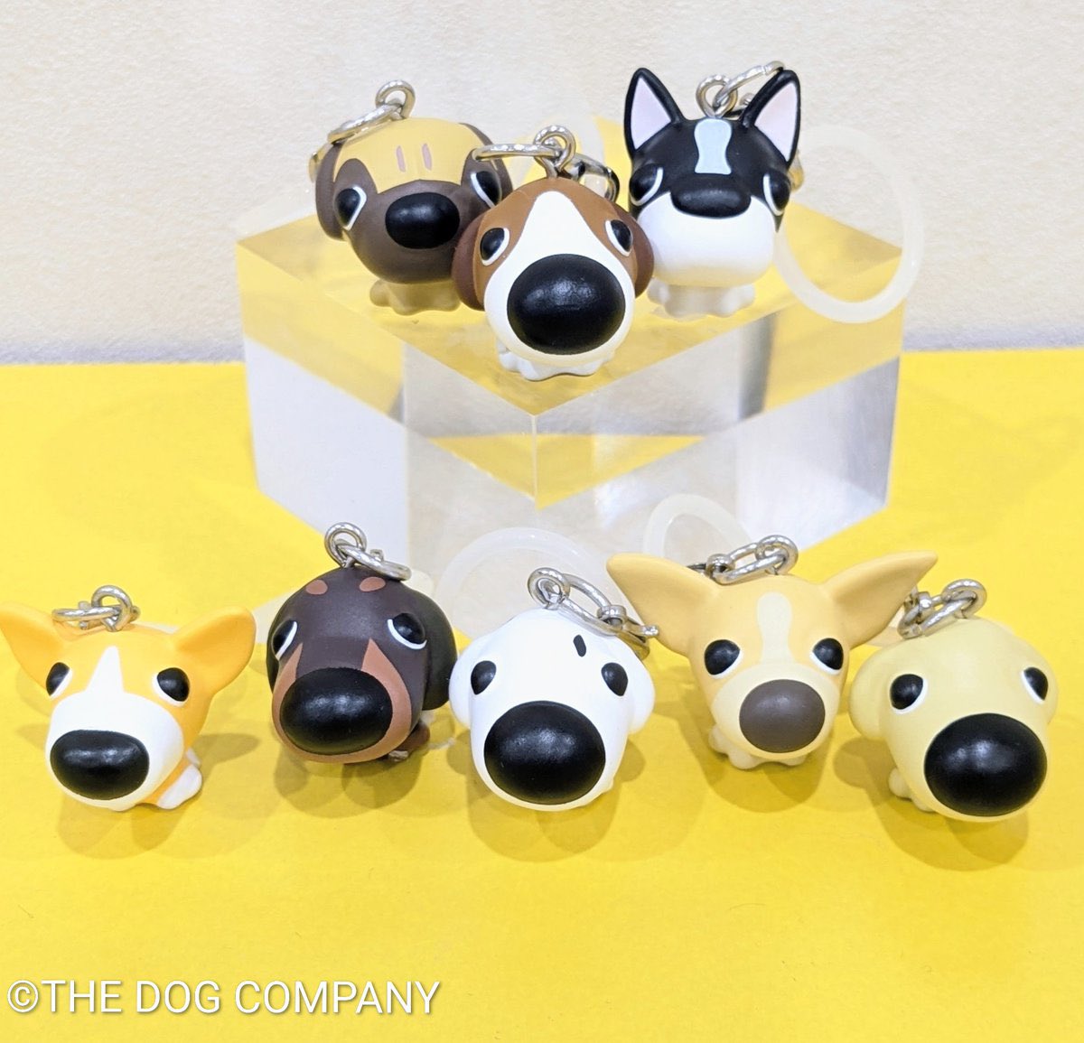 dooniboo_ani's tweet photo. 「  THE DOG AND FRIENDS 메지루시  」  재입고 합니다 ! 🐕🐩

#더도그 #thedog #메지루시 https://t.co/rhD8SYghih