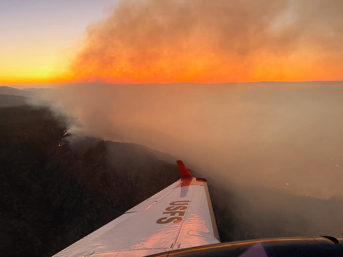Angeles National Forest tweet media