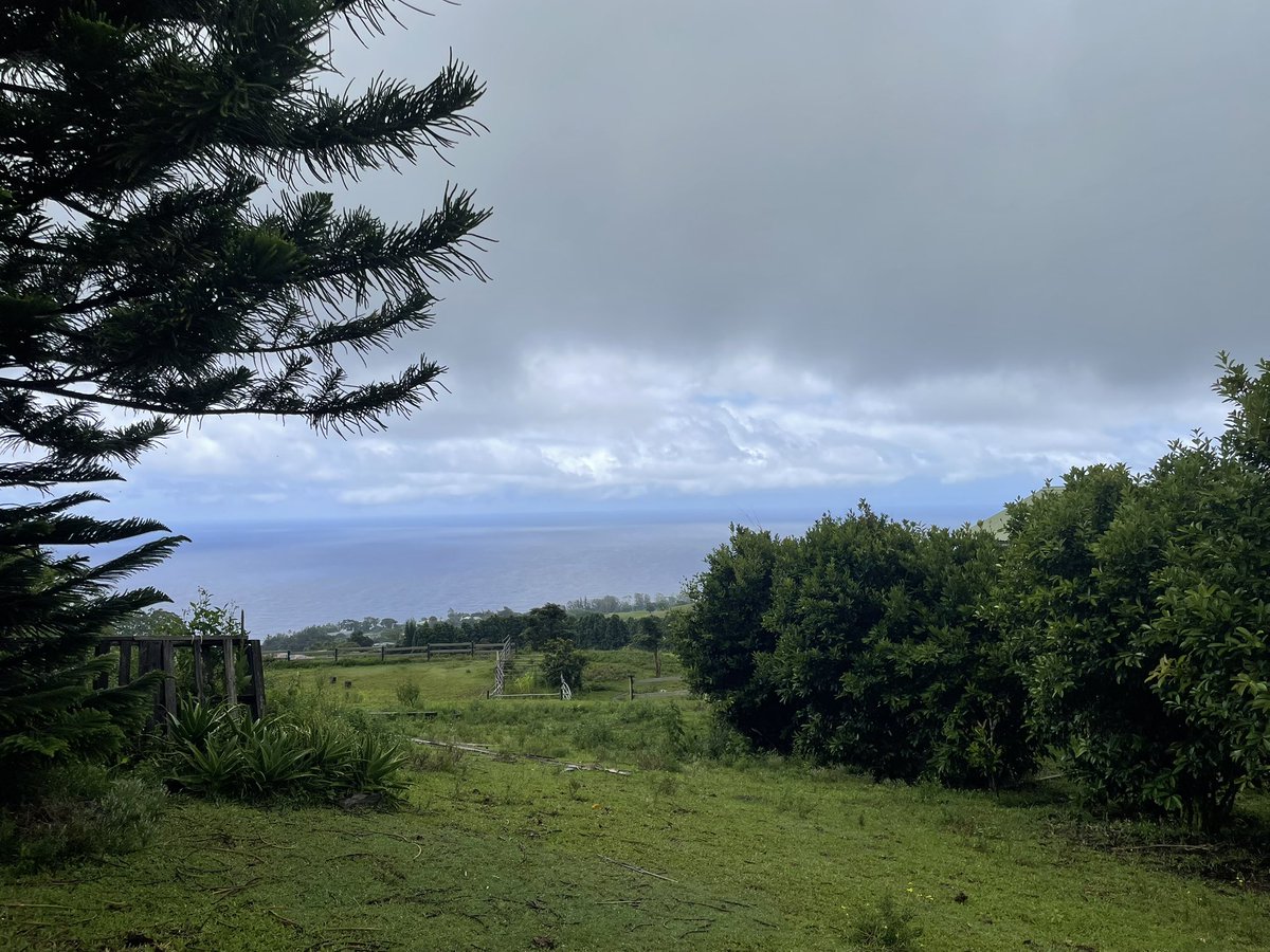 SylvieDahl's tweet photo. #AlohaFriday upcountry Papa’aloa is a great place to start the weekend https://t.co/IqrTfTg4r6