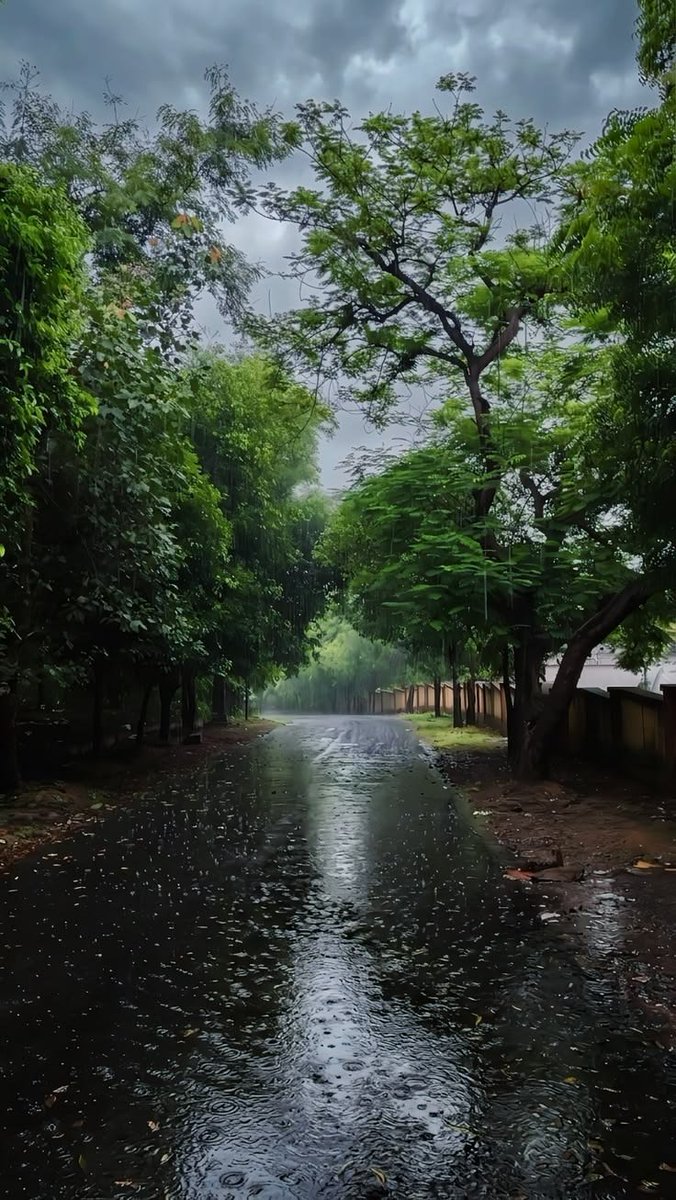 kooromi19's tweet photo. a quiet road after the rain https://t.co/GAtNMZcCFY