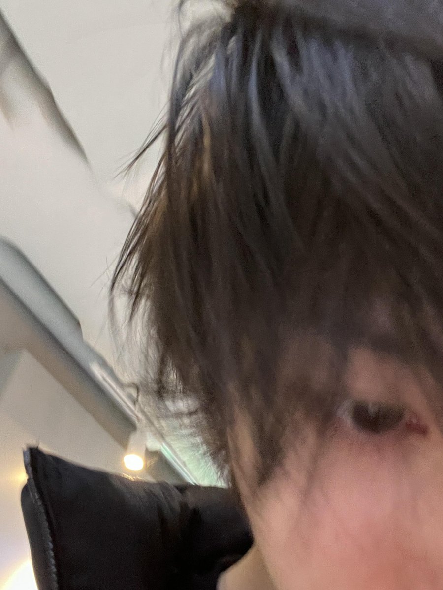 dh_evoli's tweet photo. 진짜 볼 한번만 찔러보고 싶음 https://t.co/9rAYmxrJ7X