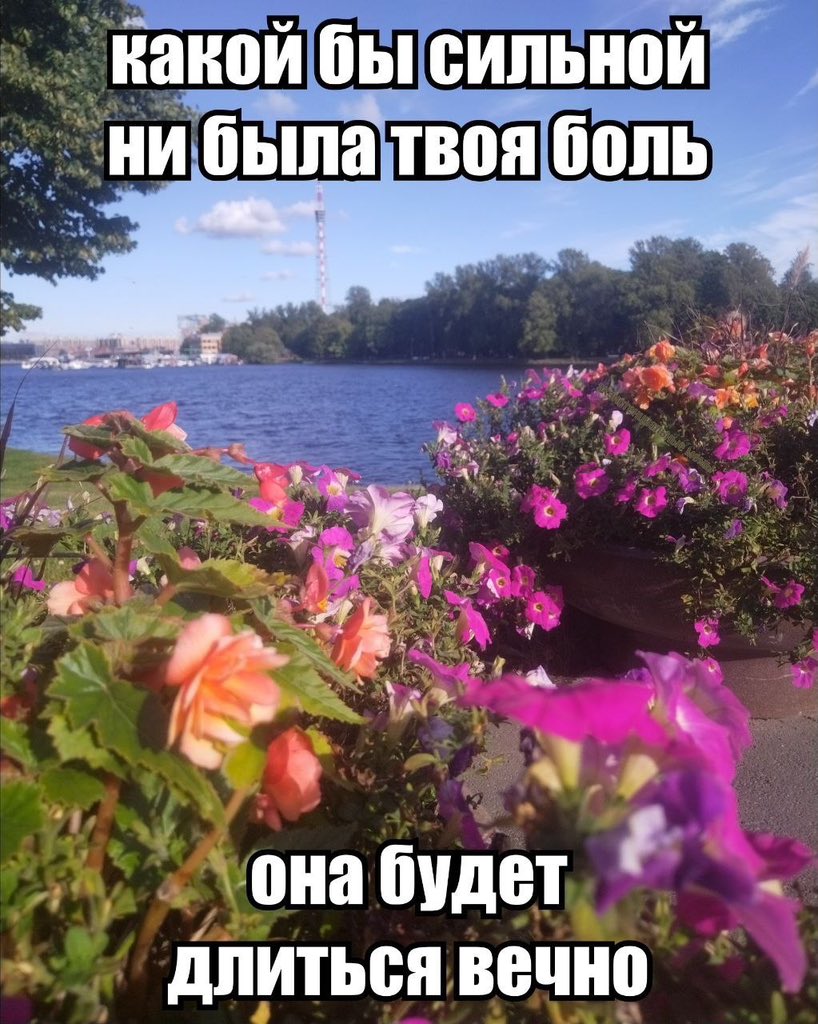 shkotobaza's tweet photo. https://t.co/fA21F5lly4