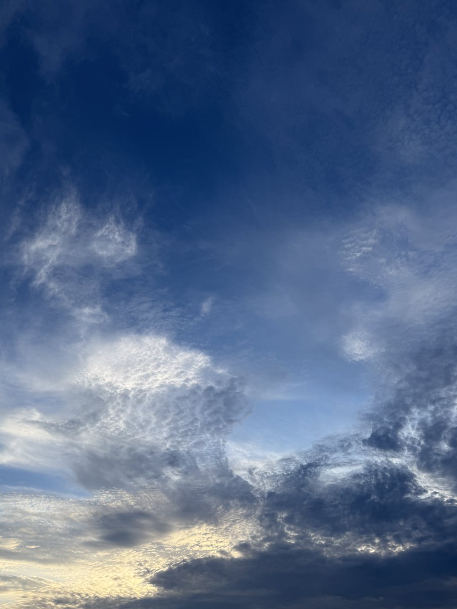 bartnder_doll's tweet photo. 僕らはいま、地面に寝そべりながら上空を見上げている。
100km先のカルマン線だって見られるのかもしれない。

僕らはいま、地面に寝そべりながら上空を見上げている。
明日だって見られるのかもしれない。 https://t.co/AO2UK5Wqhs