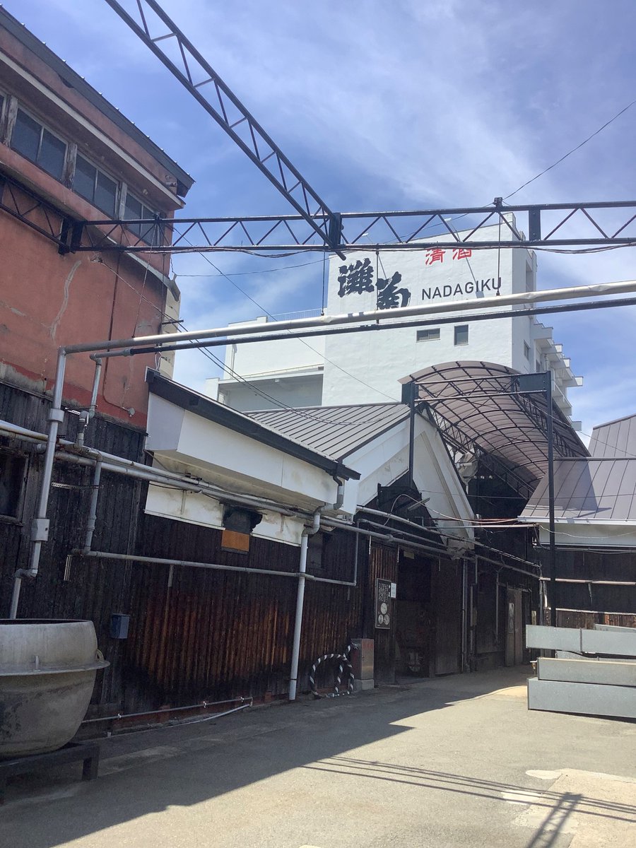 itigo_kouich's tweet photo. 2026/7/11
姫路の御座候の工場見学の後に、姫路灘菊酒造に寄りました。
試飲は3種類しましたが、私の好みは「きくのしずく」(写真真中)でした。
なお、ノンアルコールの甘酒が優しい甘さで美味でした。
#御座候
#灘菊
#姫路
#甘酒
#きくのしずく https://t.co/wcahmtCwqU