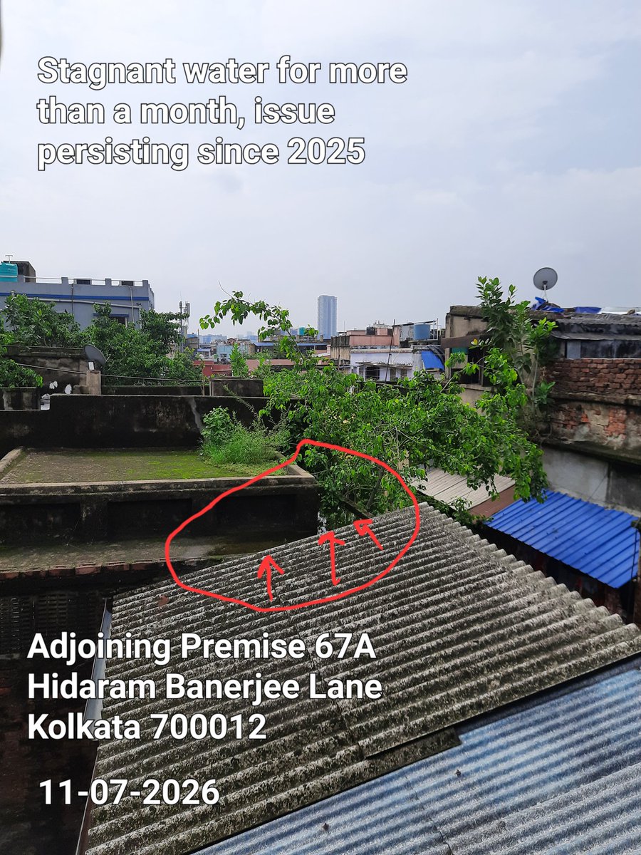 IamSen_DSen's tweet photo. I have emailed details at agnimitra.inga@gmail.com.

Please help 🙏

Ward 48, Br V

@kmc_kolkata https://t.co/JE3rAjSTZi