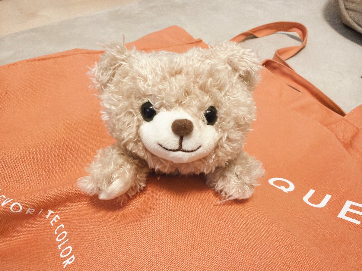 tanpp_0520's tweet photo. 木曜にお迎えしたこの子は「ひまわり」という名前になり、早速ひまちゃんと呼びれてます🌻✨ハムスターと混じって遊んでいる……

 #あそんでテディベア   #ぬい活 https://t.co/77GaW7C2eI