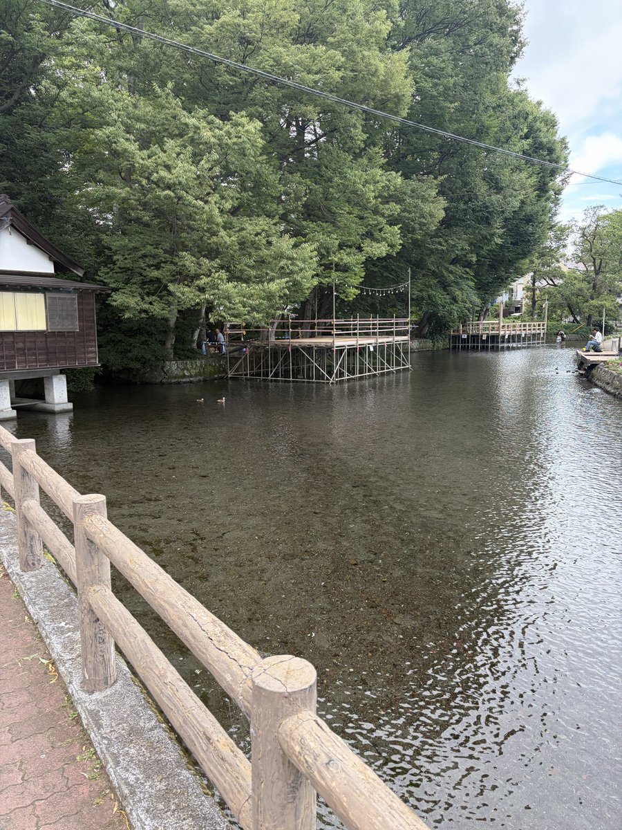 Tsubasa____'s tweet photo. 【必勝祈願】

『三嶋大社』

モードチェンジで
明日は久しぶりに忍者🥷

そんな
大月みやこさん(メイン)のステージに向けて
ショーの成功祈願！

なので
この後ザギン(銀座)で友人達と久々に会う事を断念したのが本音..

それにしても
これから明日のステージが終わる迄は断酒！！
俗世の欲を掻き捨て https://t.co/76VhbNDJSK