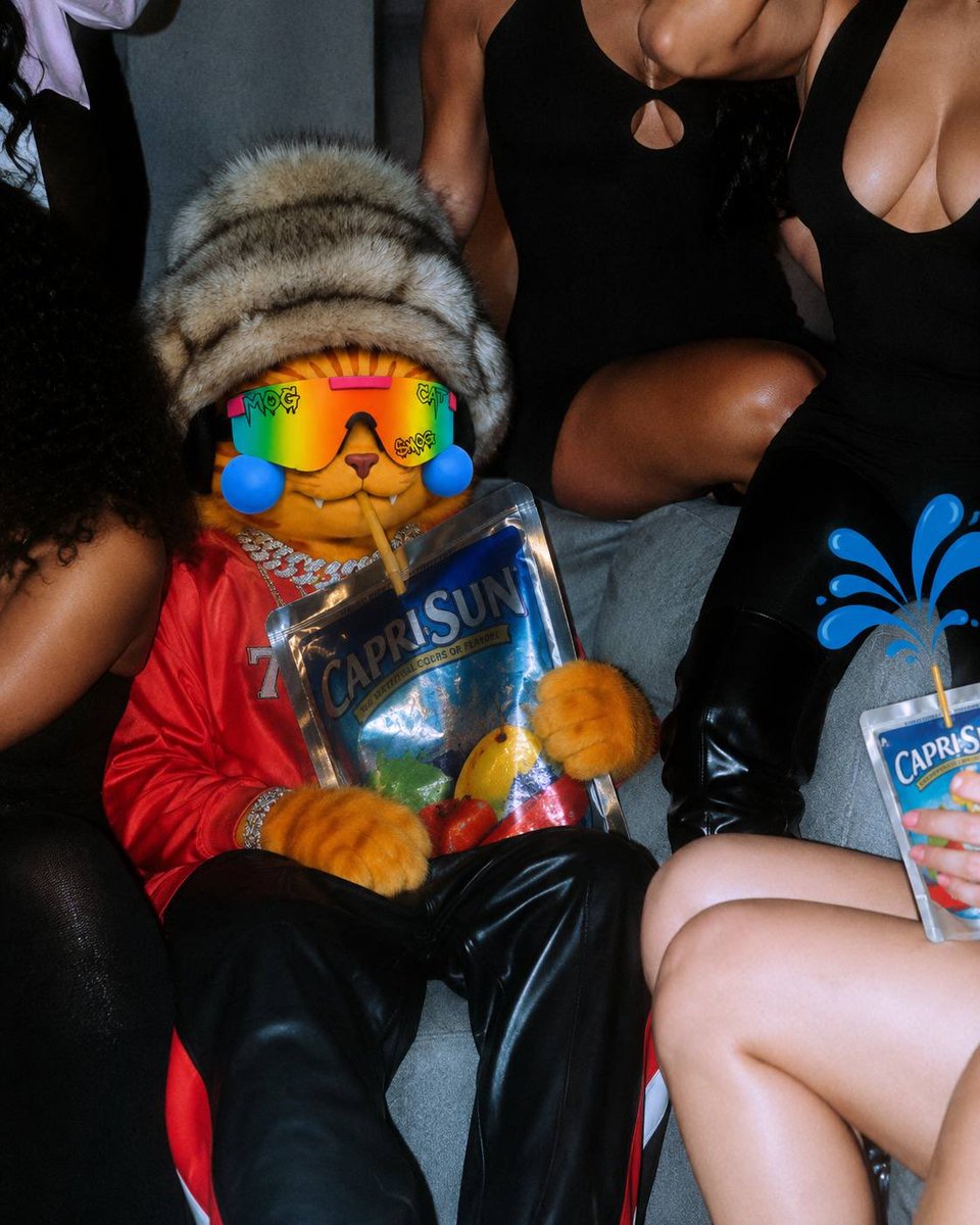 MogCatOnRH's tweet photo. VIP section.

very important pussy.

$MOG 😼 https://t.co/0EOvFw762Y