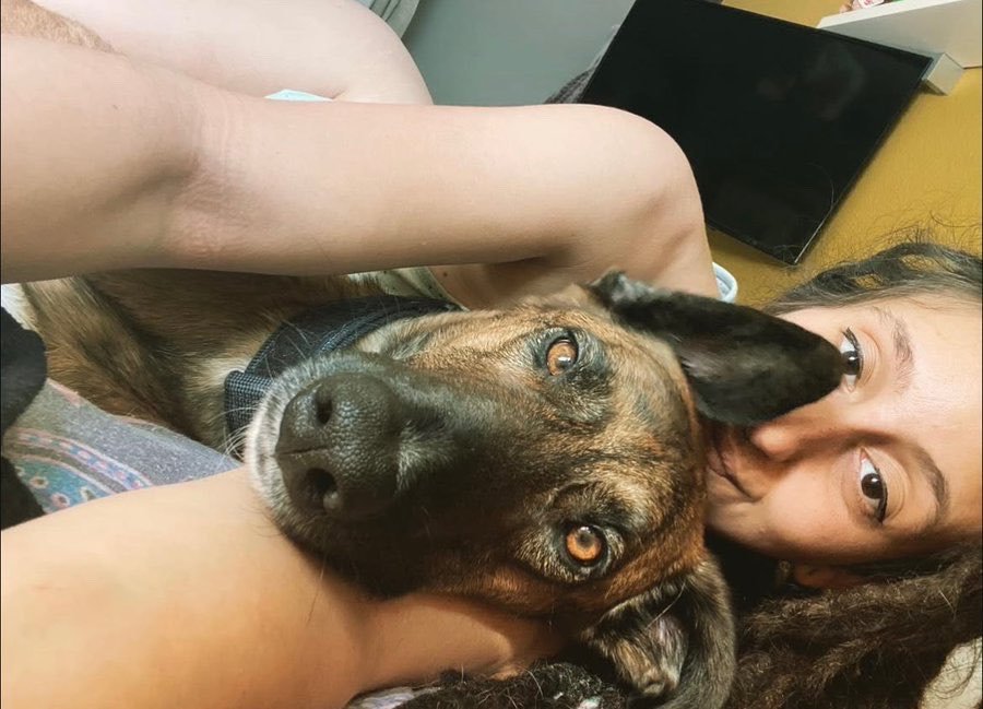 k9_kloe's tweet photo. Zoo model who gives her dogs pleasure 

https://t.co/ou8XXR5gWp

#dogknotting #knotty #doglover #dogwhore 
#knotted #animallovers #hypnotist #nfsw #dogtrainer
#Beastiality #weekendvibe #tits #Beast #zoophillia
#dogpill #KnottedRP #Taboo #Breeder #SloppyKiss #nsfwtwt #trending https://t.co/UuUyEZZEsU