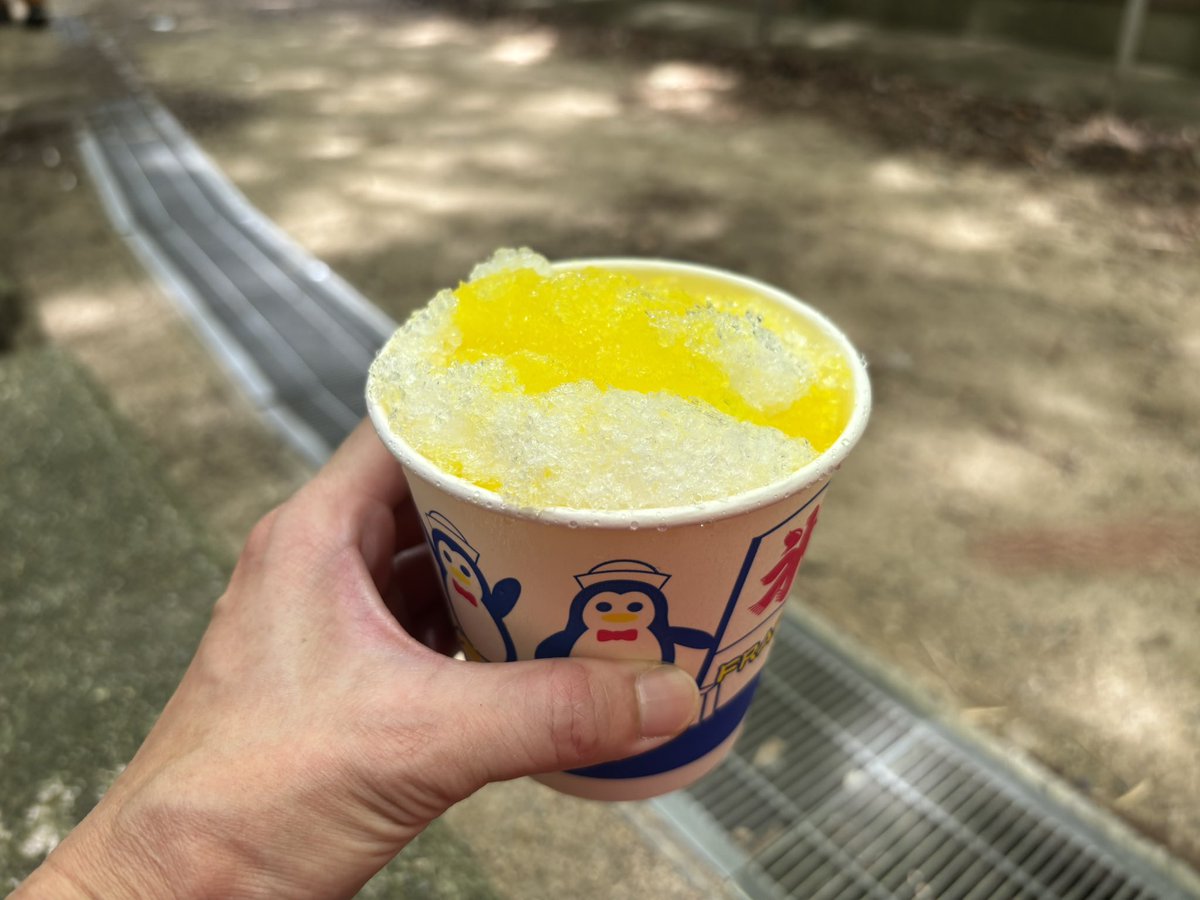 RedMiho1970's tweet photo. 美穂ちゃん、今日は灼熱地獄の六甲西半縦走お疲れ様でした〜😅

熱中症寸前の暑さ🥵
山頂毎に冷凍したペットボトルでクールダウンしなふらふら😵

これで夏山遠征の為に少しは体力ついたかな〜

美穂ちゃん、🍧美味しかったね😋 https://t.co/zsRTDiIq1N