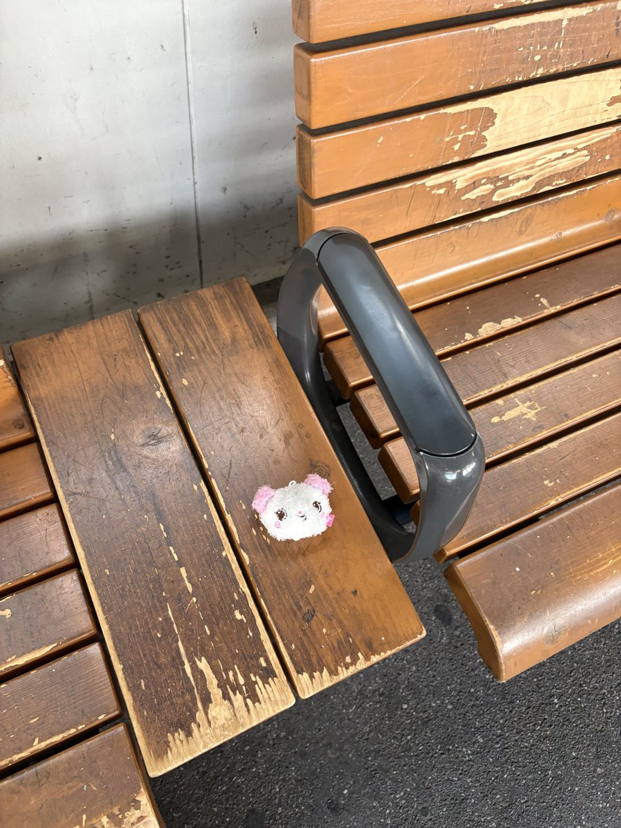 mydream_101118's tweet photo. 明大前の駅のベンチにいます😭迎えに行ってあげて😭 https://t.co/I8ENkUSdgZ