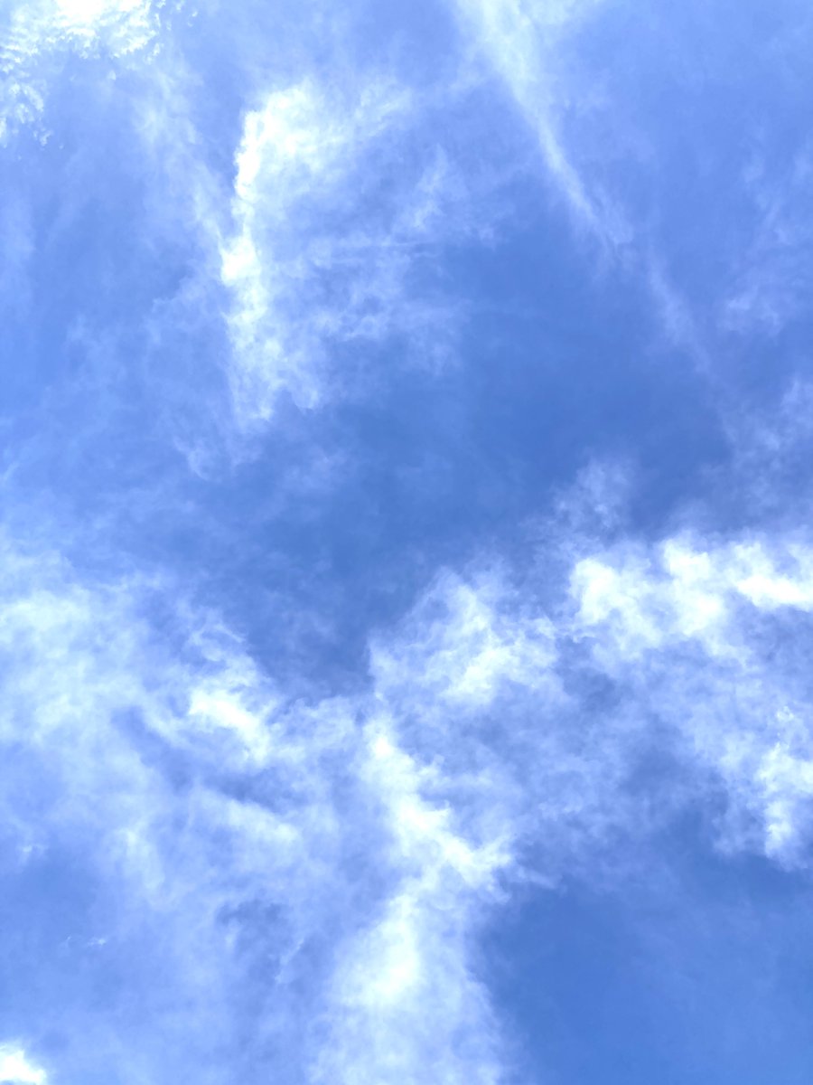 kikumap's tweet photo. 広い
#空
#青空
#sky #bluesky https://t.co/1DfFwCUlzP